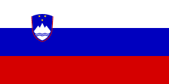 TRANSPORT PERSOANE SLOVENIA